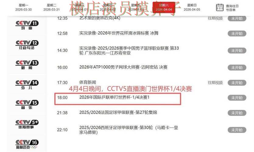 世界杯官方信息期间热门世界杯买球平台解析与直播入口分析